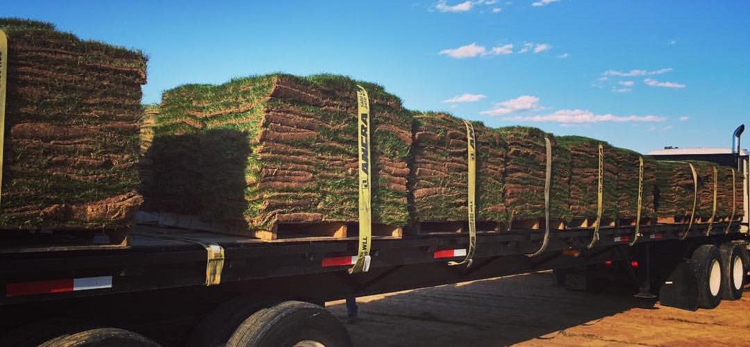 Florida Sod delivery truck loaded with fresh cut sod pallets